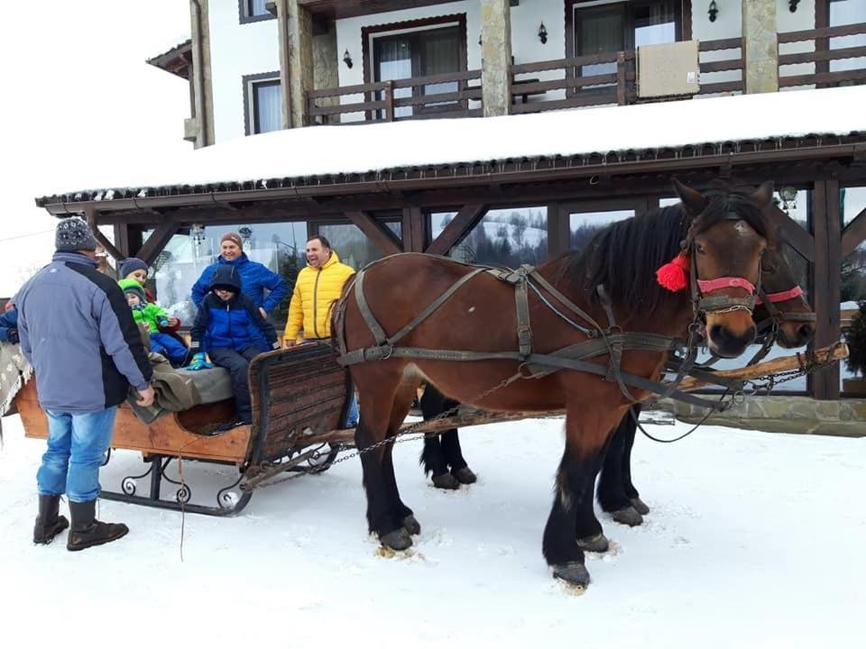 Întorsura Buzăului Casa Bradet旅馆 外观 照片