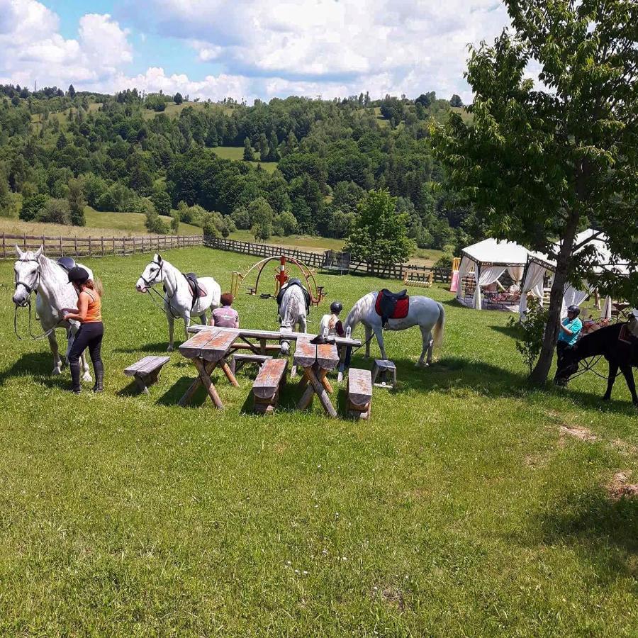 Întorsura Buzăului Casa Bradet旅馆 外观 照片