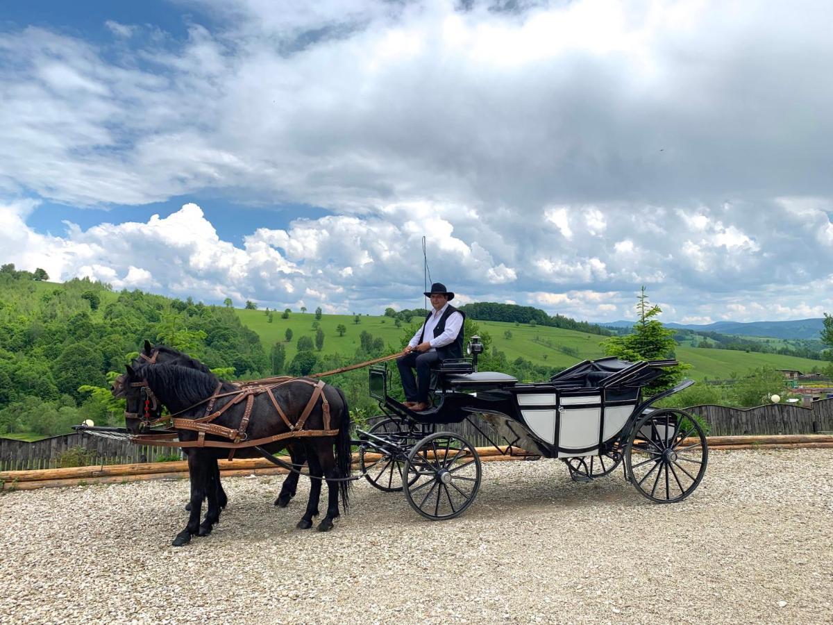 Întorsura Buzăului Casa Bradet旅馆 外观 照片