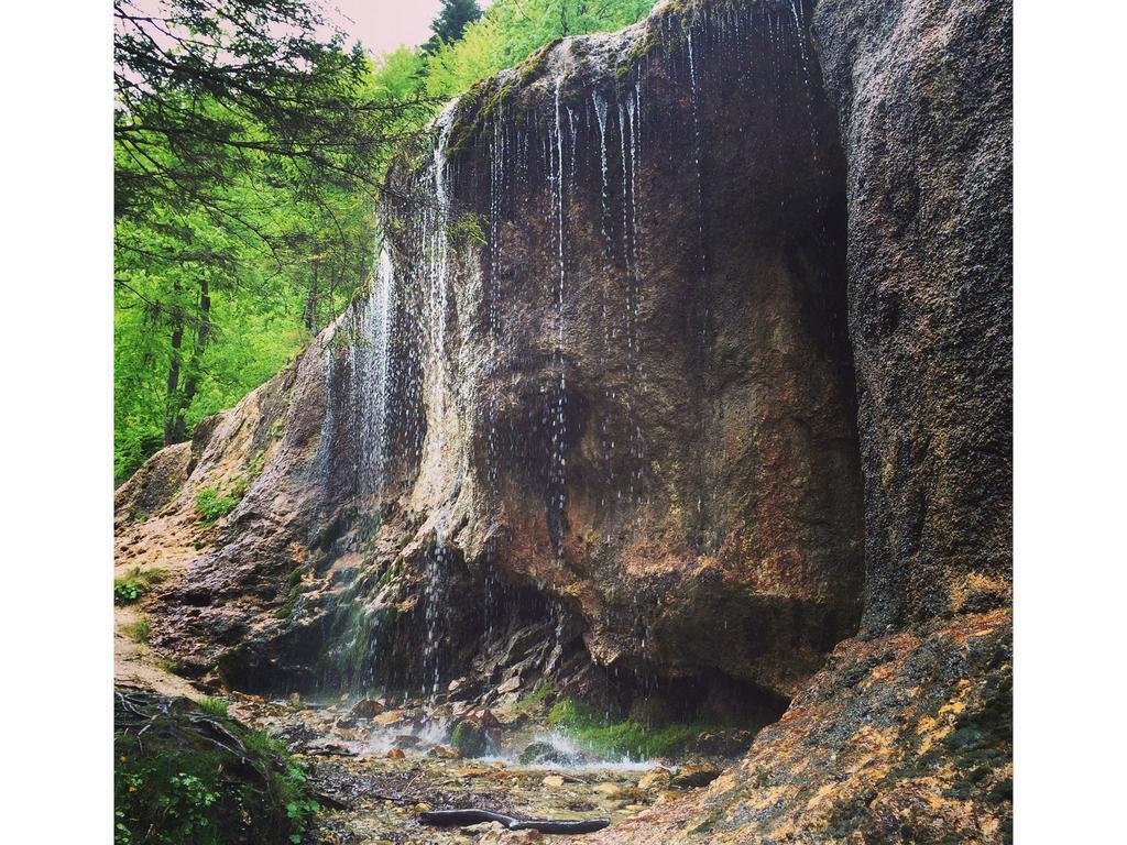 Întorsura Buzăului Casa Bradet旅馆 外观 照片