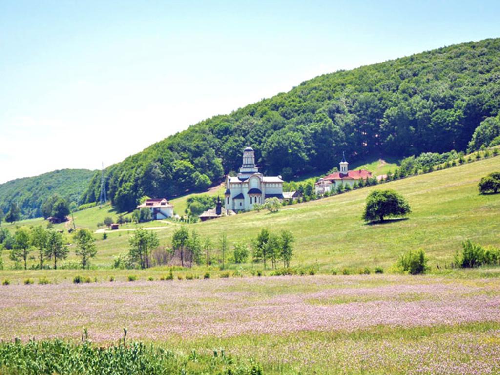 Întorsura Buzăului Casa Bradet旅馆 外观 照片