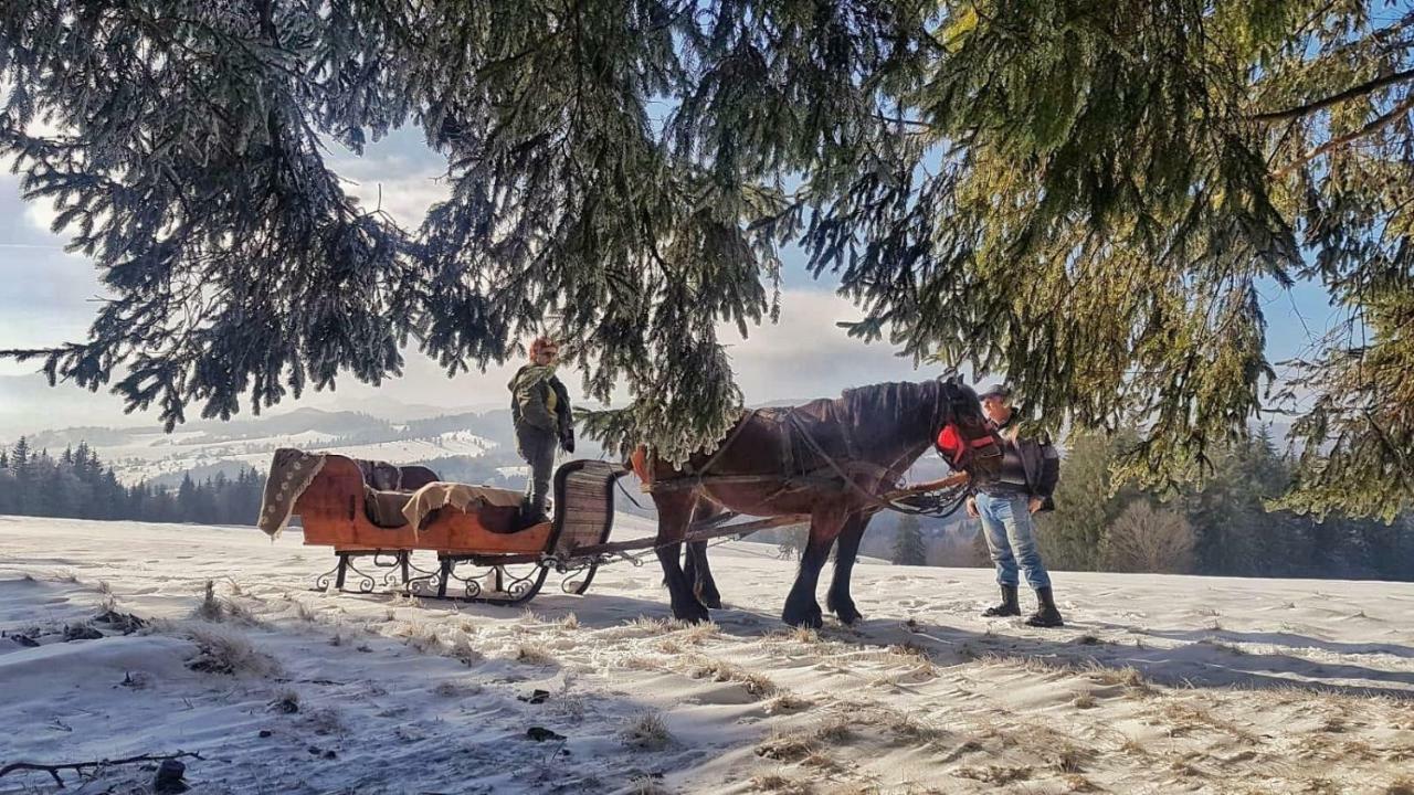 Întorsura Buzăului Casa Bradet旅馆 外观 照片