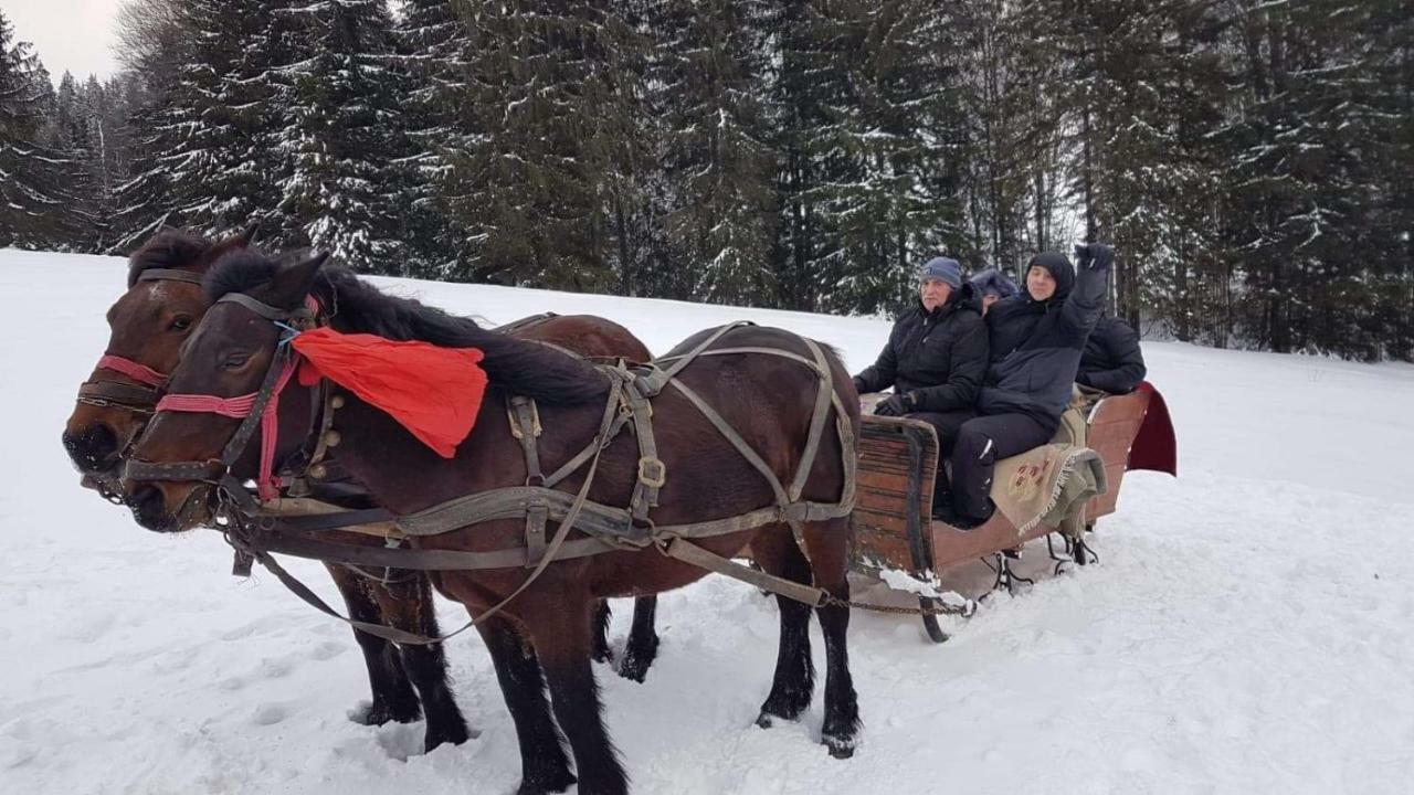 Întorsura Buzăului Casa Bradet旅馆 外观 照片